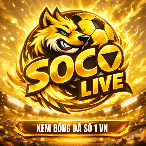 Xem bóng đá số 1 vn